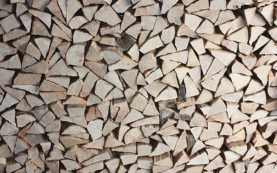 Descubre cómo ahorrar energía con tu estufa de leña