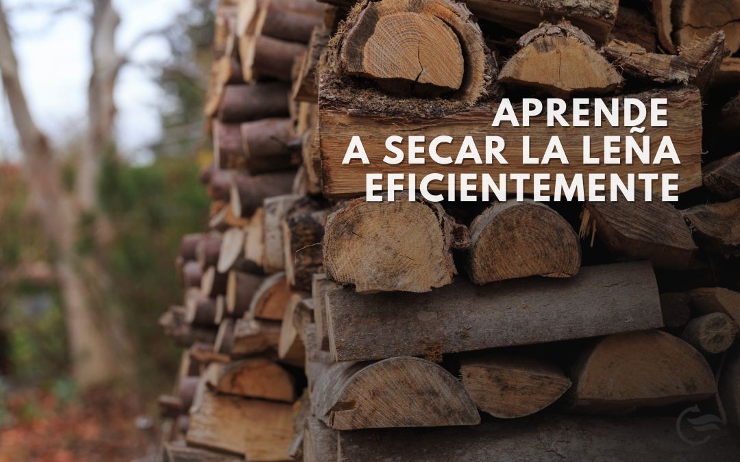 Prever el secado de la leña para el próximo invierno - Carbel